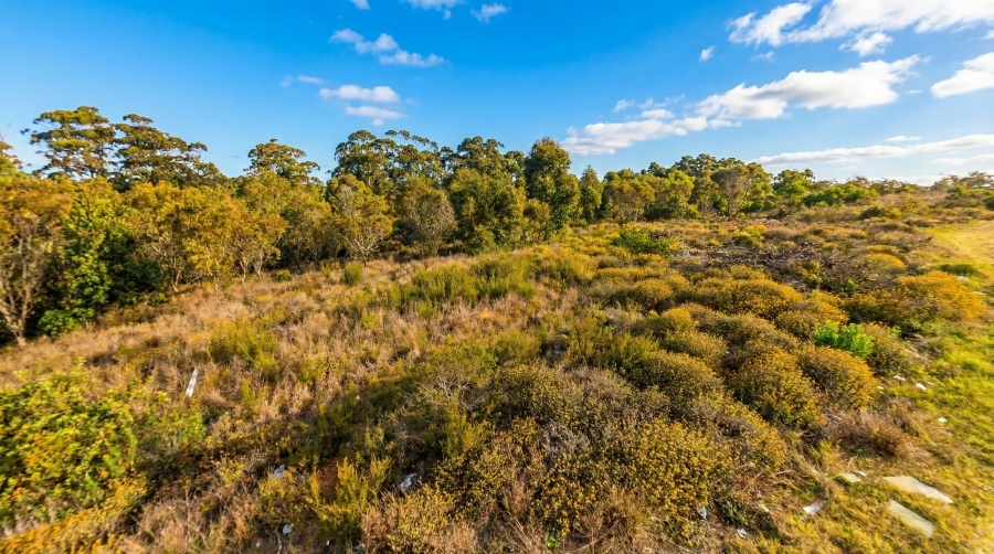 0 Bedroom Property for Sale in Kabega Park Eastern Cape